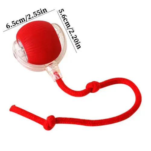 Cat Interactive Ball Electronic Automatic