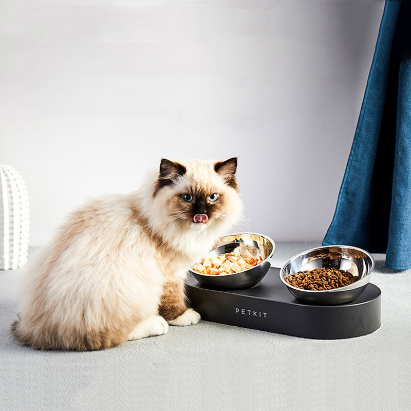 Adjustable Stainless Steel Cat Double Bowl - Black - Pet bowl