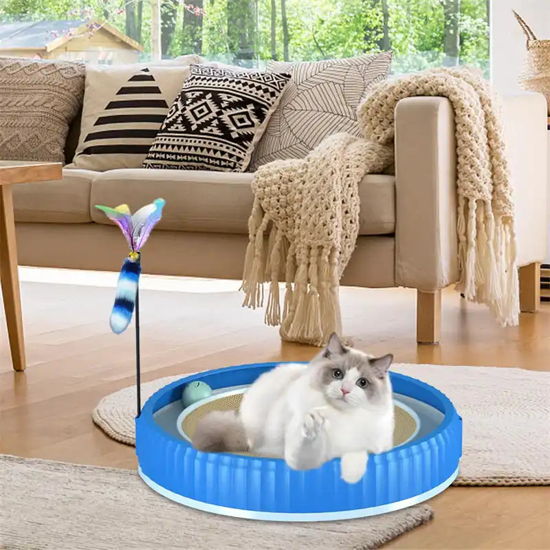 Blue cat scratching bed with cat.