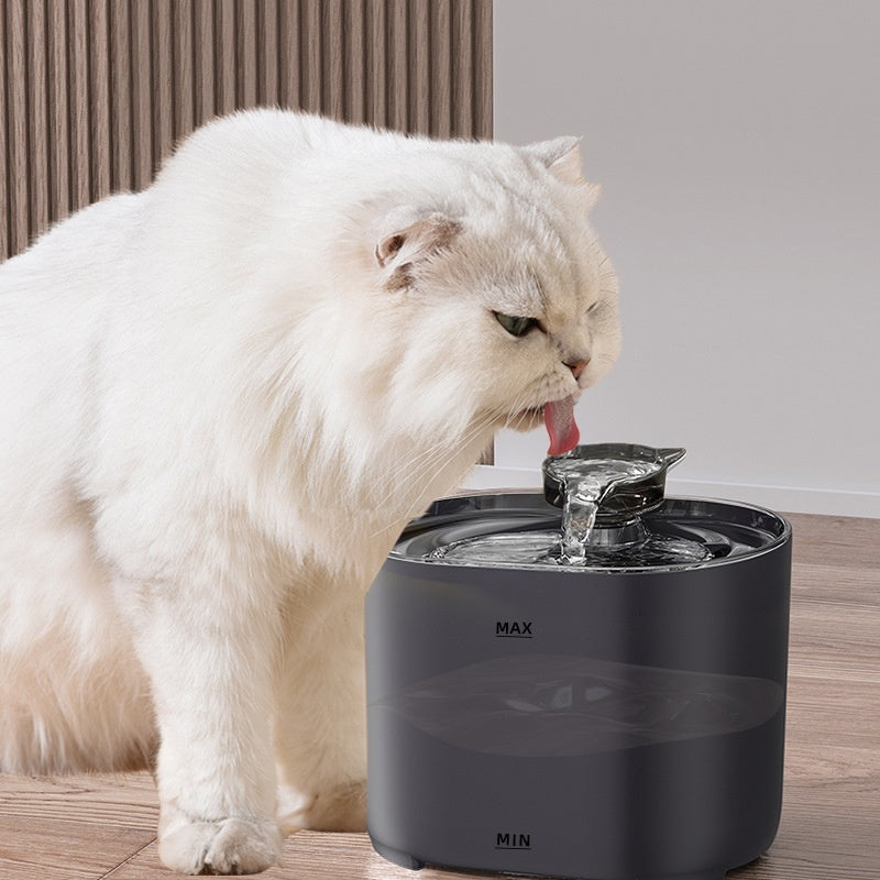 Cat Automatic Water Fountain - Cat Drinking Fountain