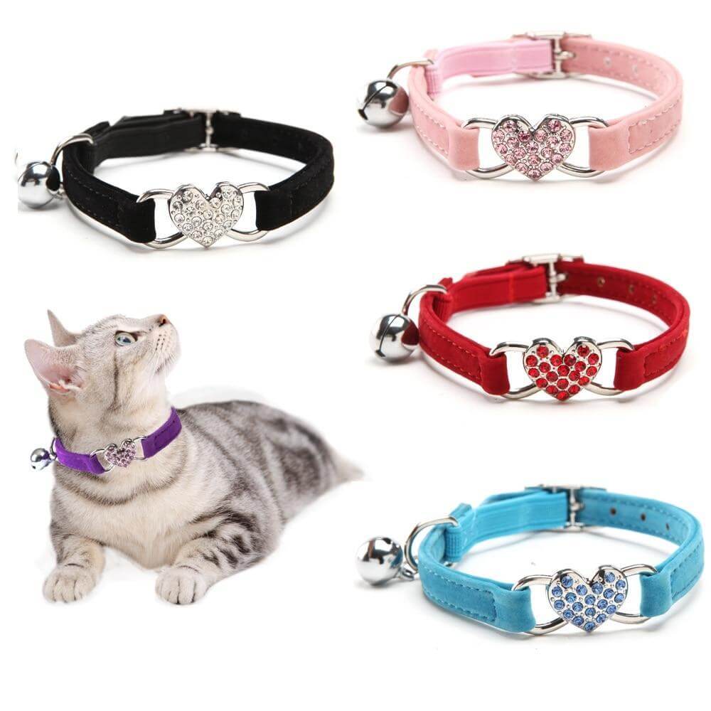 Cat collar - Cat collar