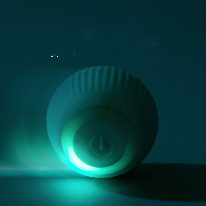 Cat Toy Electric Rolling Ball - Cat Toy