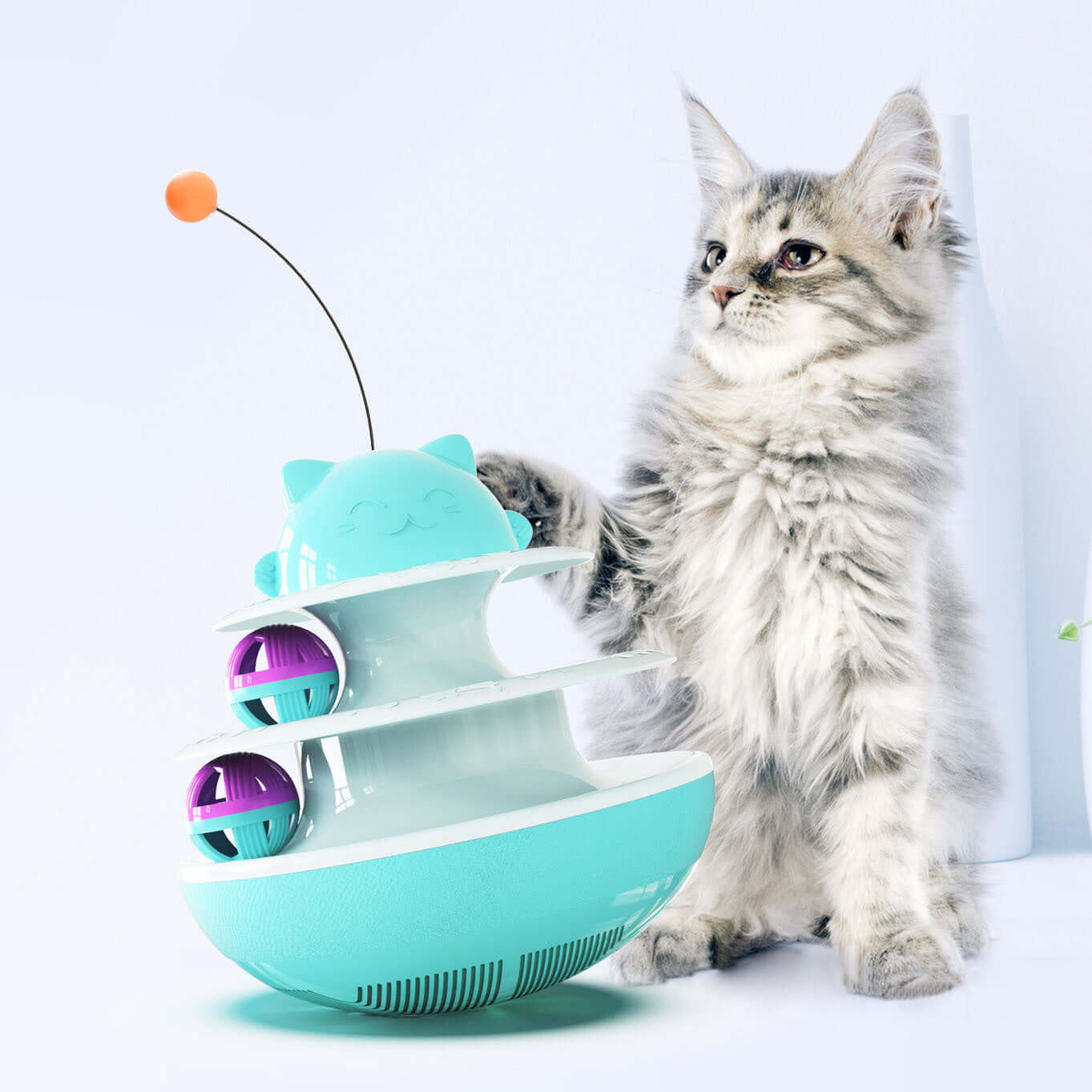 Cat track toy - Cat Toy