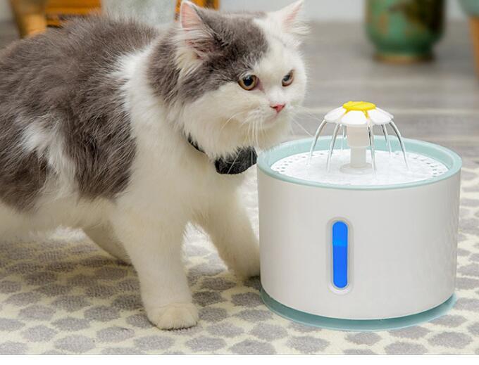 Cat Water Drinking Fountain - Blue / UK / D - Pet drinking