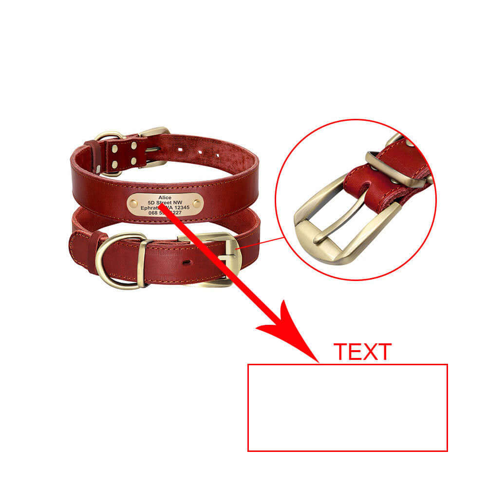 Dog Collar Personalized - Dog collar