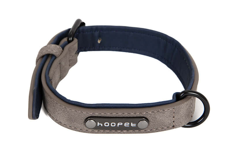 Dog collar x - Gray / L - Dog collar