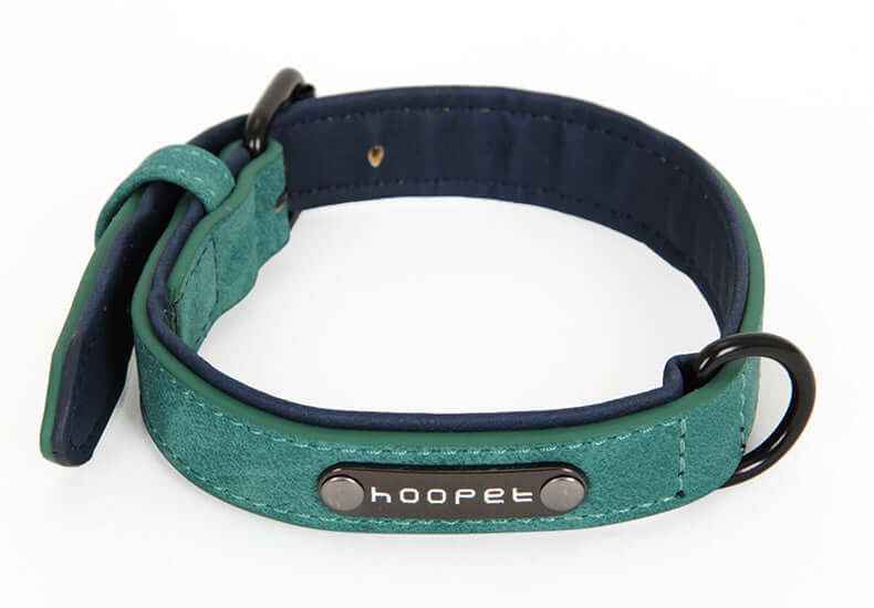 Dog collar x - Green / L - Dog collar