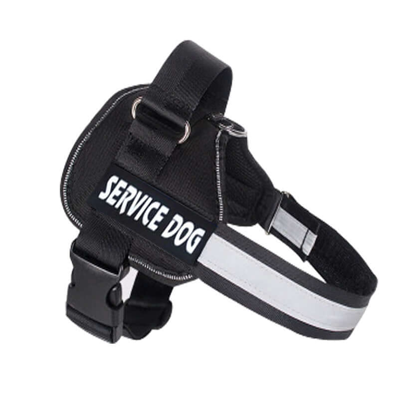 Dog harness leash for Labradors - Black / L - Dog leash