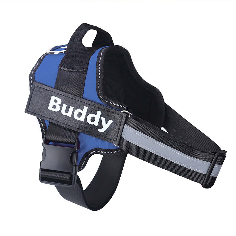 Dog Harness Personalized - Blue / Baby1 - Dog leash