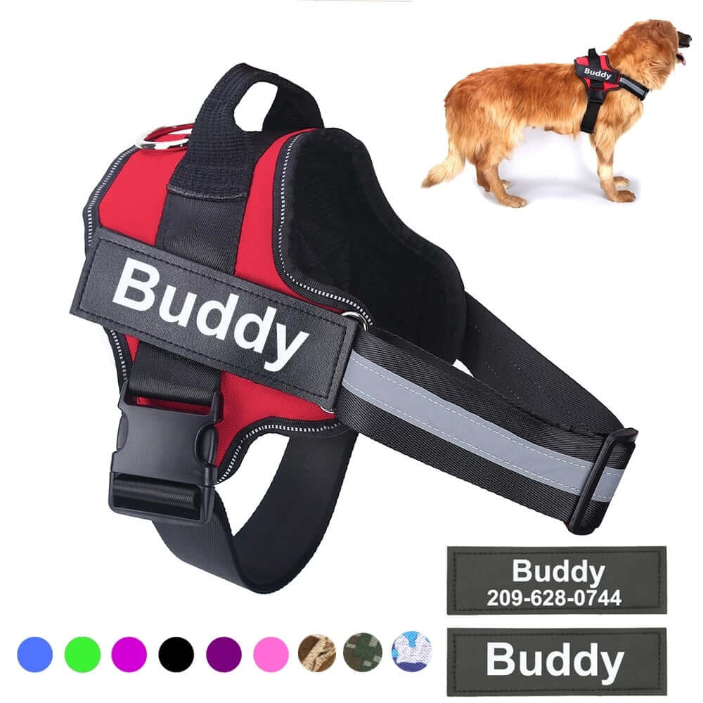 Dog Harness Personalized - Dog leash