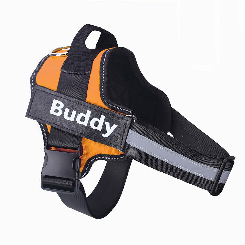 Dog Harness Personalized - Orange / Baby1 - Dog leash