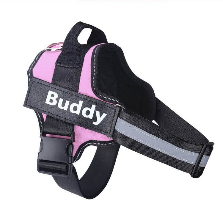 Dog Harness Personalized - Pink / Baby2 - Dog leash
