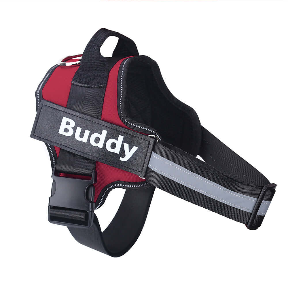 Dog Harness Personalized - Red / L - Dog leash