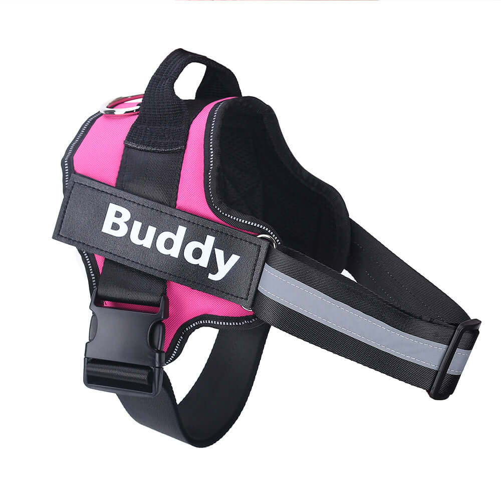 Dog Harness Personalized - Rose Red / L - Dog leash