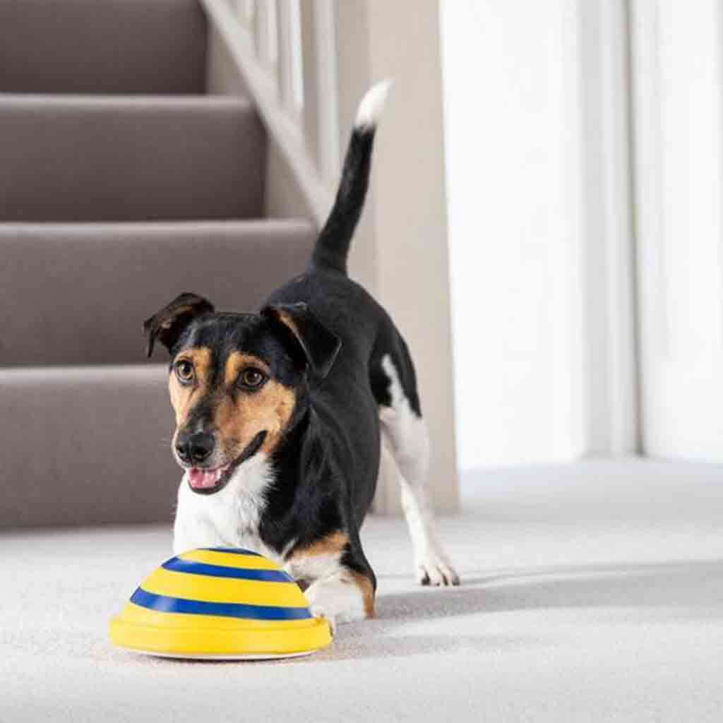 Dog Toy with Sound - Yellow - Dog toy