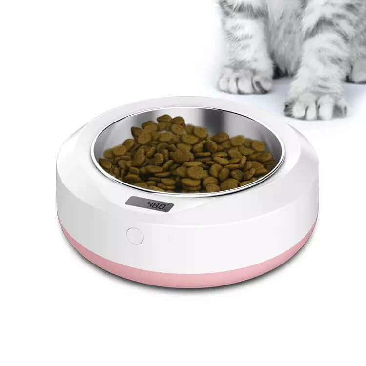 Pet Automatic feeder - Pet bowl