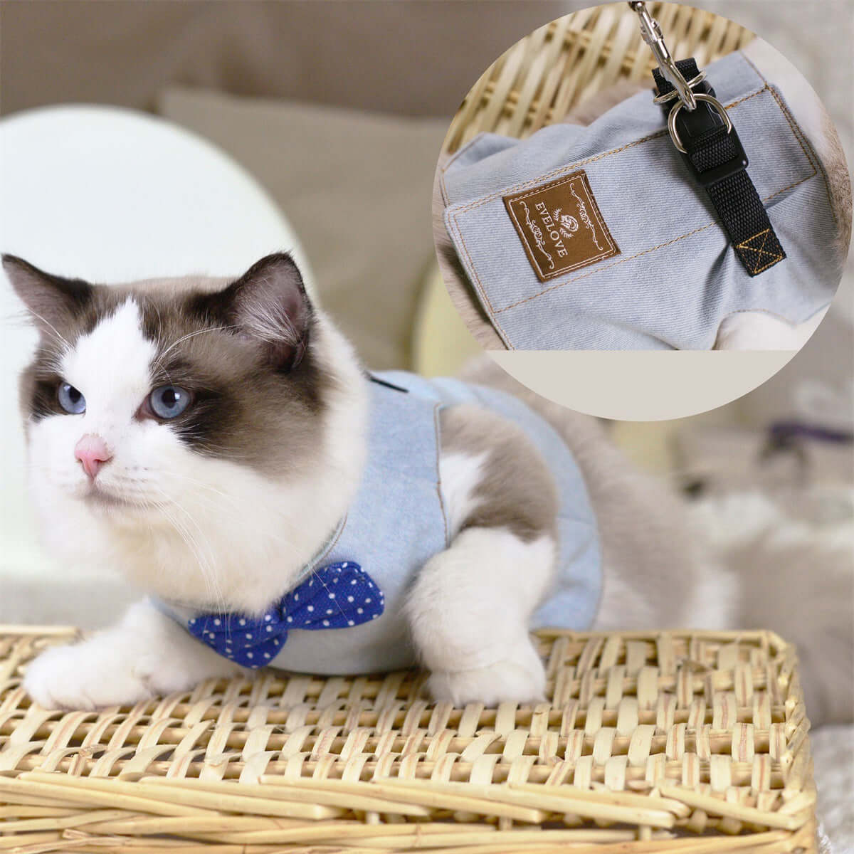 Vest-style Chest Strap For Cats - Cat collar