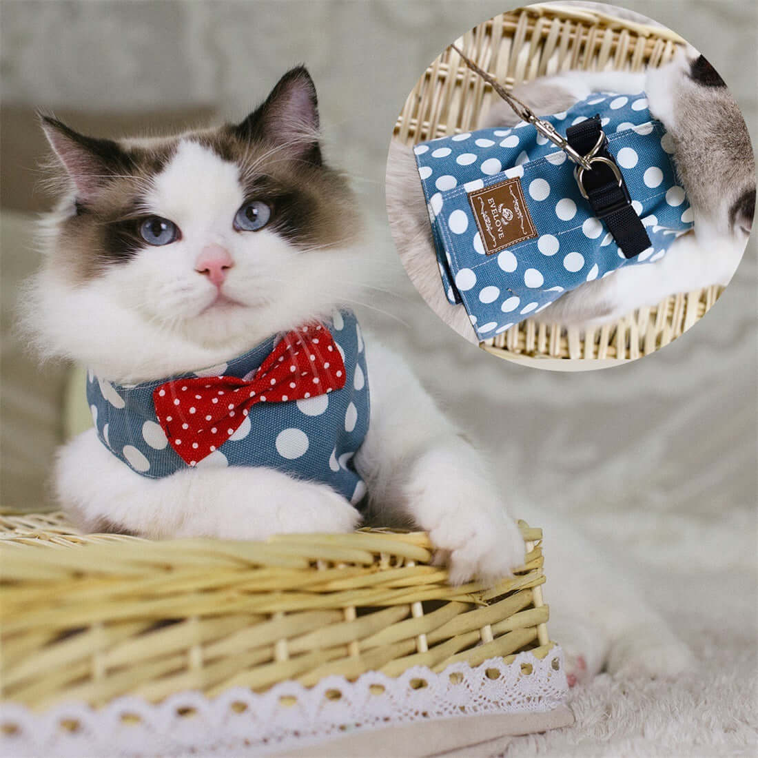 Vest-style Chest Strap For Cats - Cute little blue / L - Cat collar