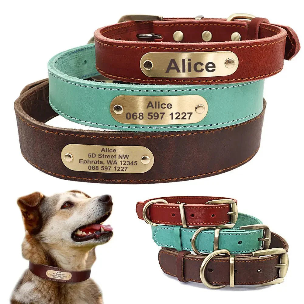 Dog Accessories - Just4Pets