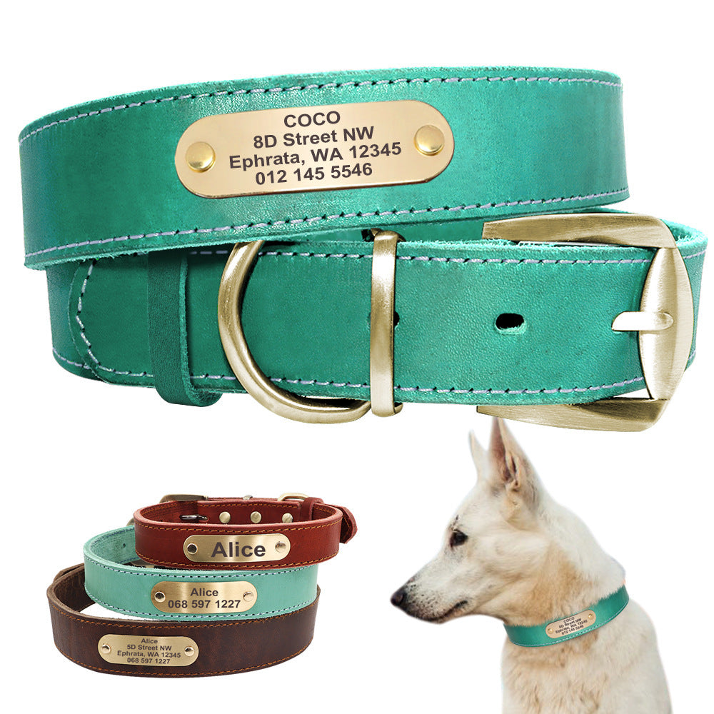 Dog Collar Personalized