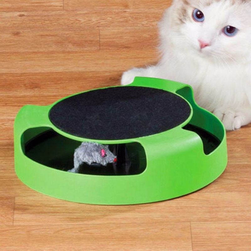 Cat Interactive Toy