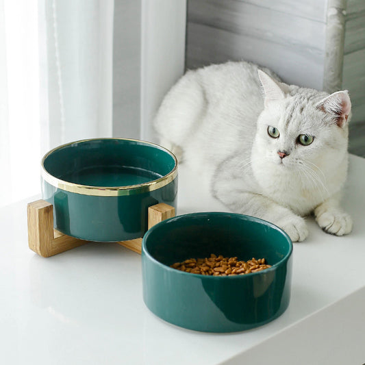 Ceramic cat food bowl