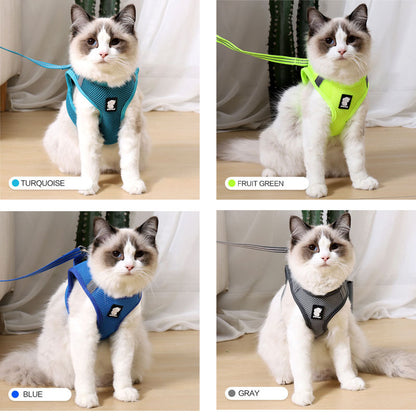 Cat Harness Anti-Strike