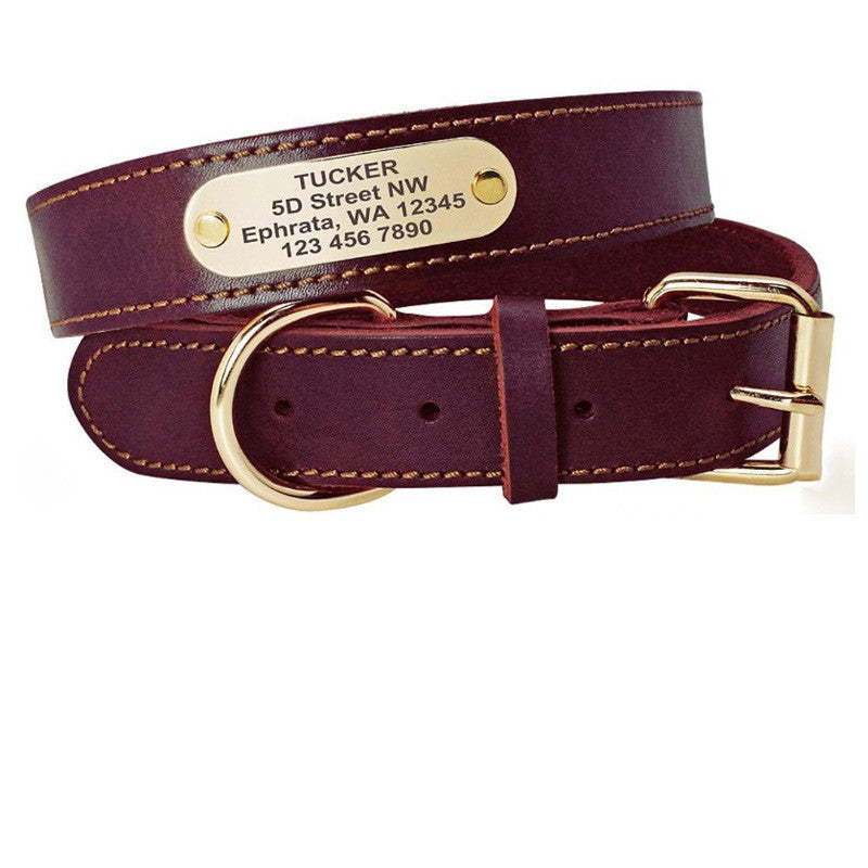 Dog Collar Personalized