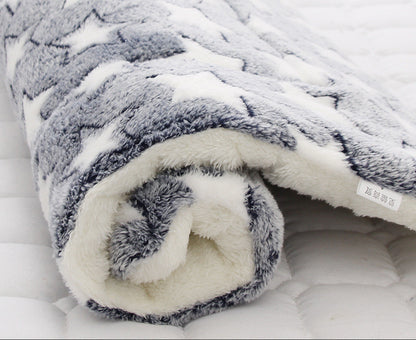 Thick Blanket for Cats And Dogs