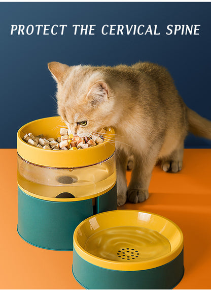 Cat Food and Water Bowl