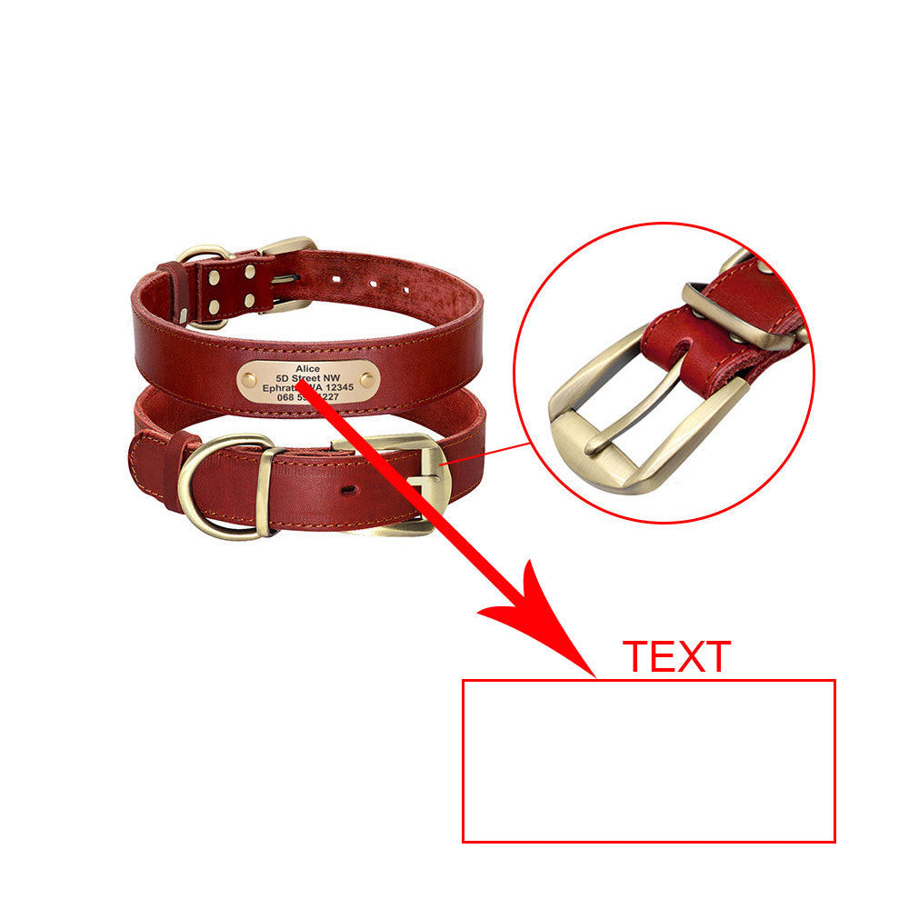 Dog Collar Personalized