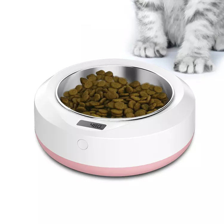 Pet Automatic feeder