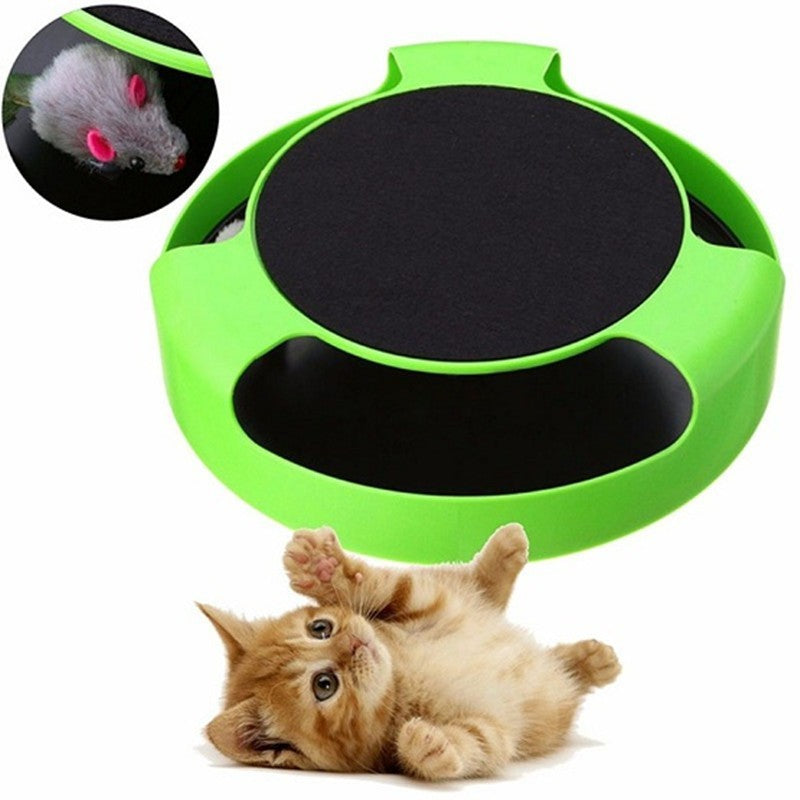 Cat Interactive Toy