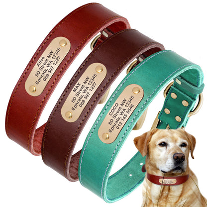 Dog Collar Personalized