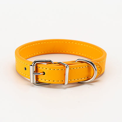 Pet Collar