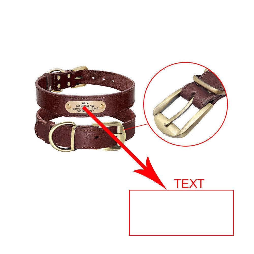 Dog Collar Personalized