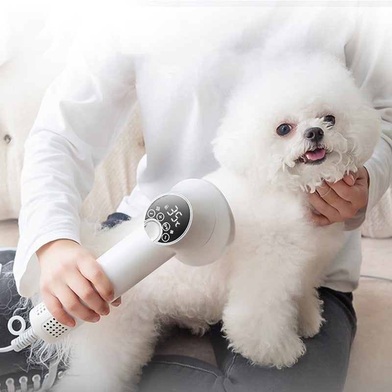 Smart Pet Hair Dryer for Dogs