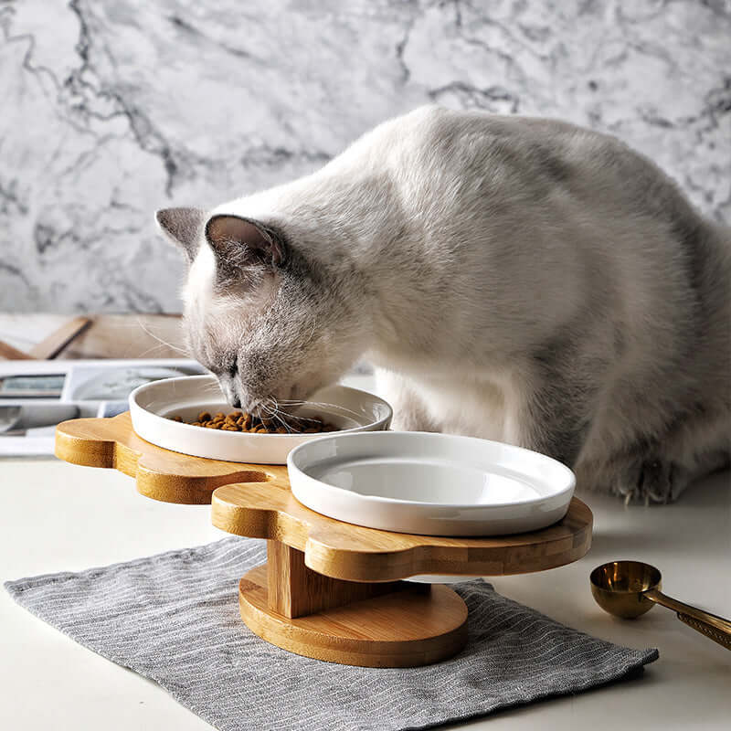 Cat Bowl Ceramic Double with Holder