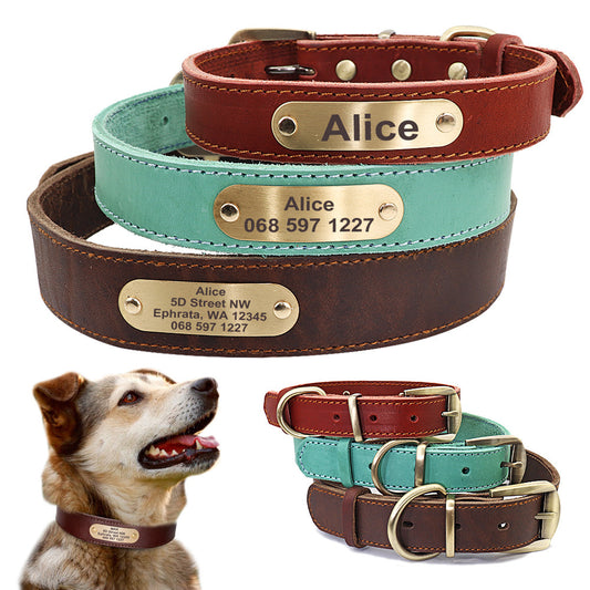 Dog Collar Personalized