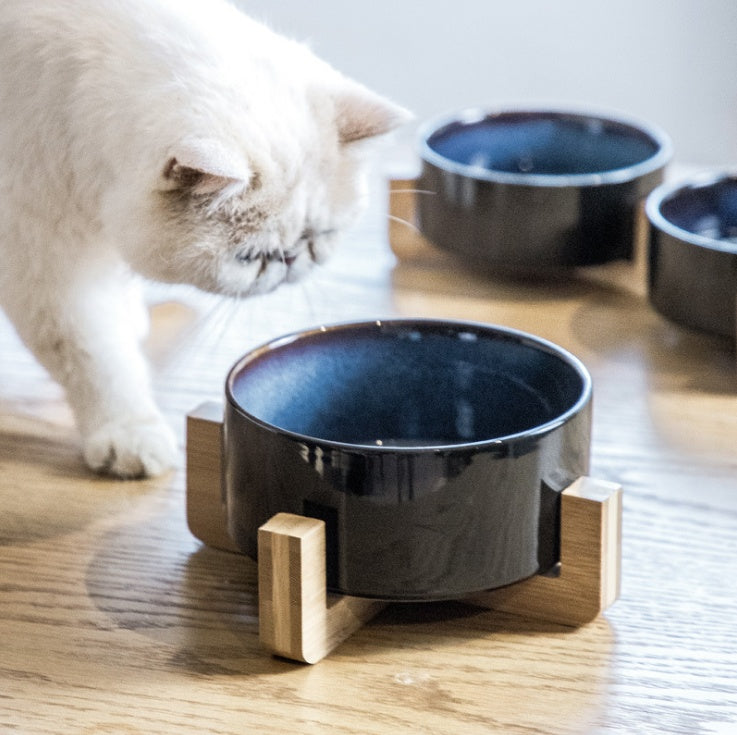 Ceramic cat bowl