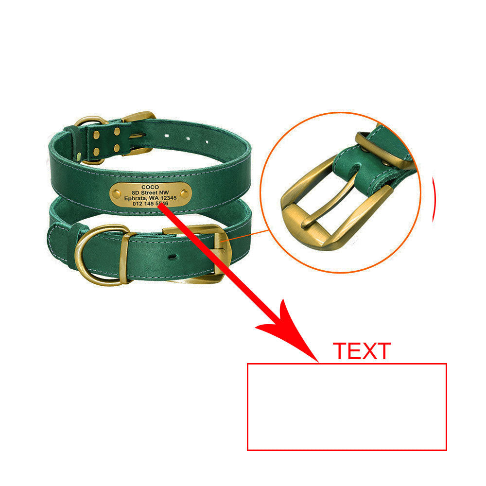 Dog Collar Personalized