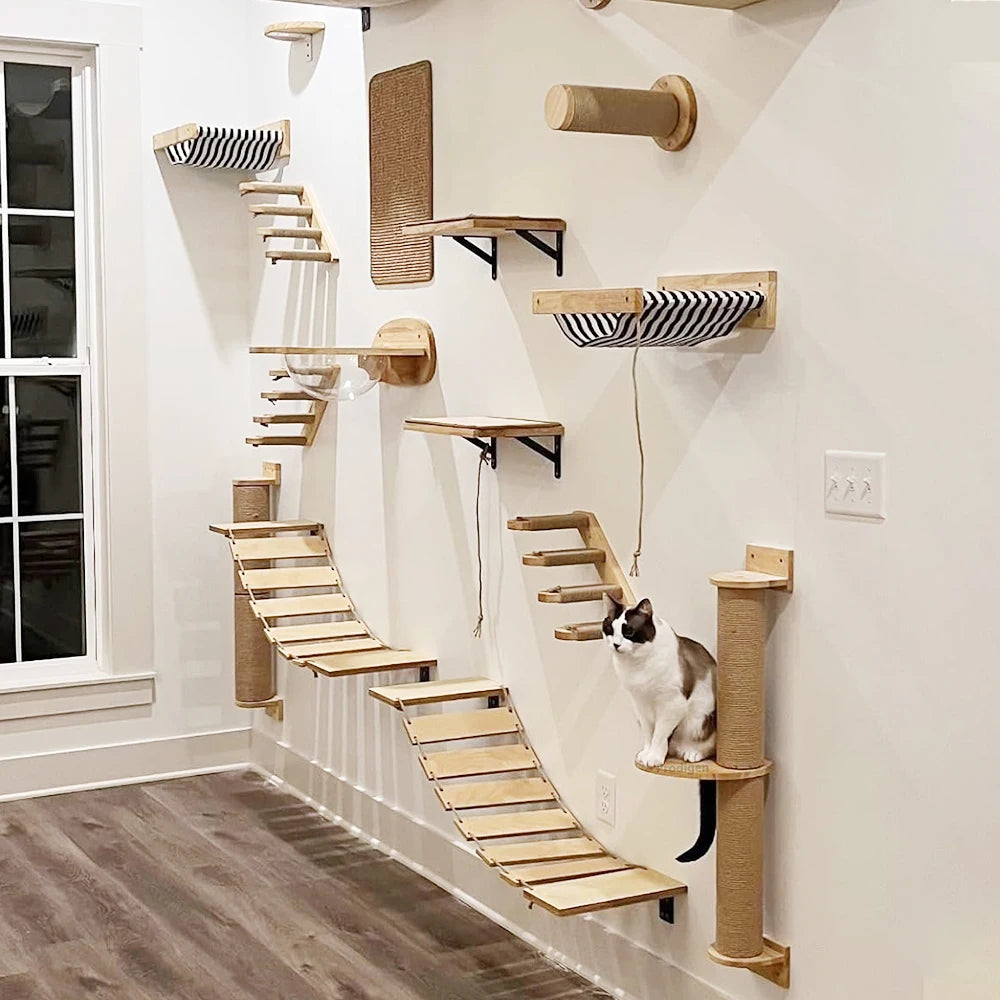 Cat Climbing Shelf Wall Mounted