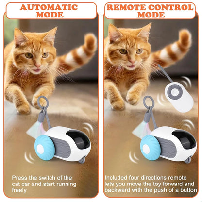 Cat Toy *Smart with Remote Control