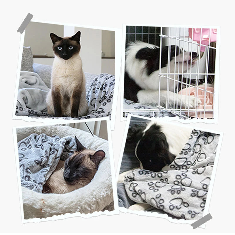 Pet Blanket For Cats And Dogs