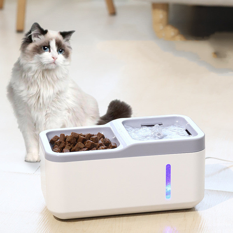 Intelligent Cat Automatic Water Fountain and Feeder