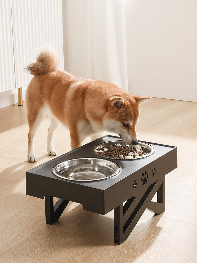 Adjustable Dog Bowl - Black - Pet bowl