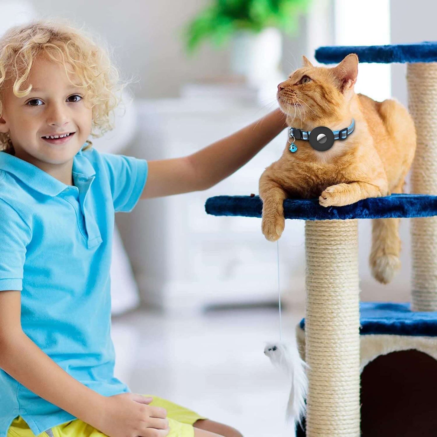 Air-tag Reflective Pet Collar - Cat accessories