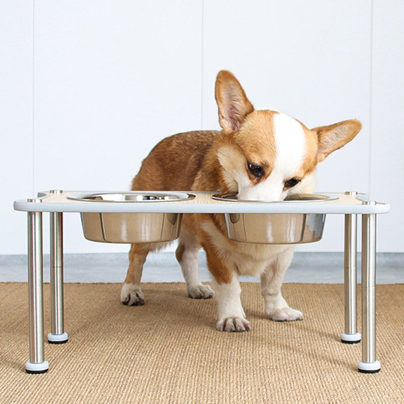 Adjustable Height Dog Food Bowl