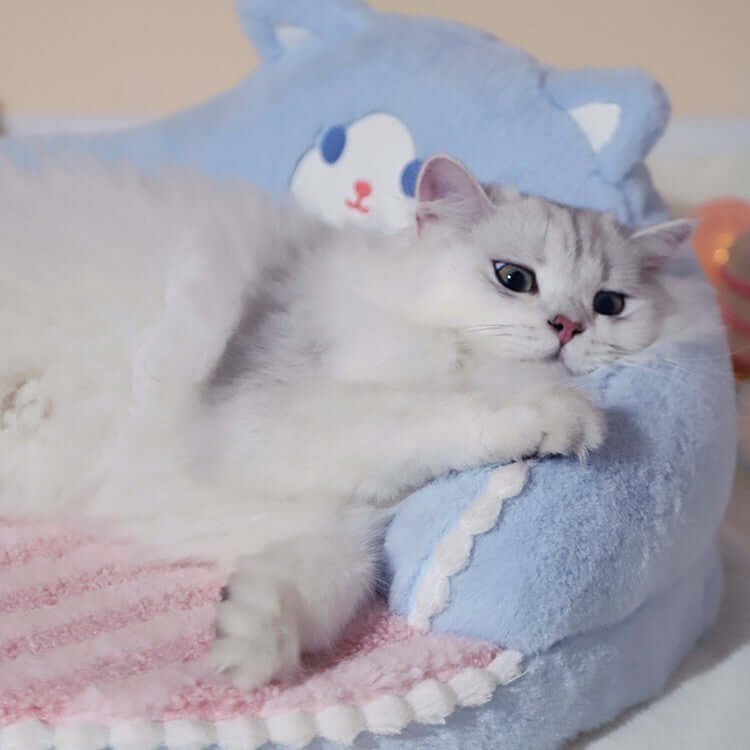 Cat Bed Fun Shape - Cat bed