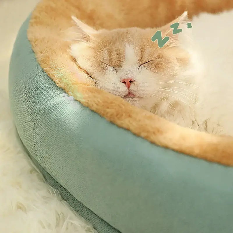Cat Bed Non-Slip Warm and Soft *Kimpets